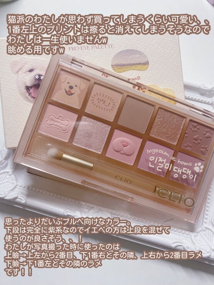 プロ アイ パレット/CLIO/アイシャドウパレットを使ったクチコミ(2枚目)