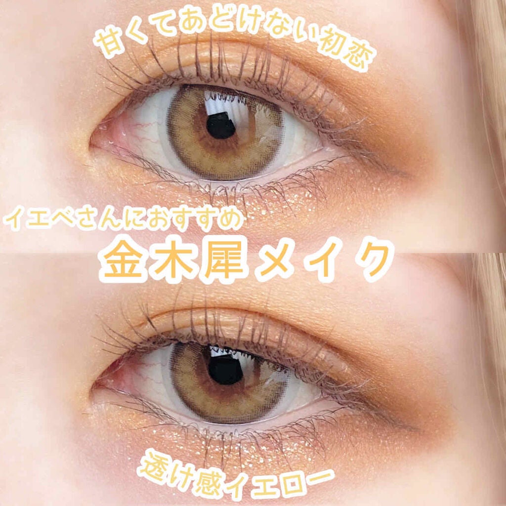 パーフェクトマルチアイズ/キャンメイク/アイシャドウパレットを使ったクチコミ(1枚目)