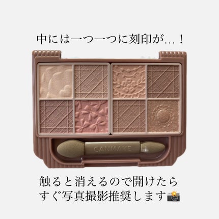 プティパレットアイズ(マットタイプ)/キャンメイク/パウダーアイシャドウを使ったクチコミ(3枚目)