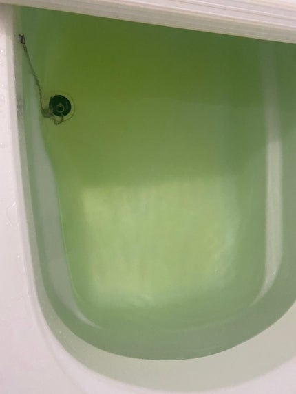 プチ・フルール ローズの香り/フィード/炭酸系入浴剤を使ったクチコミ(6枚目)