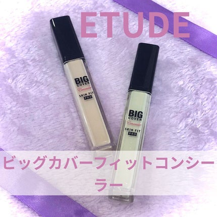ビッグカバーフィットコンシーラー/ETUDE/リキッドコンシーラーを使ったクチコミ(1枚目)