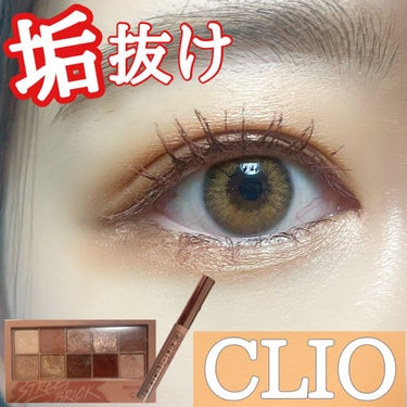 プロ アイ パレット/CLIO/アイシャドウパレットを使ったクチコミ（1枚目）