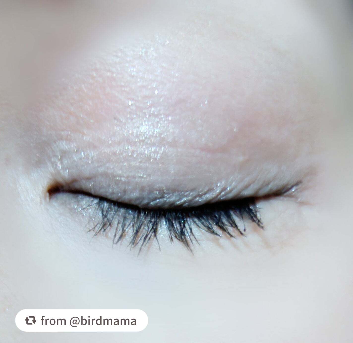 グラデーション アイシャドウ/ちふれ/アイシャドウパレットを使ったクチコミ(3枚目)