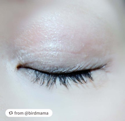 グラデーション アイシャドウ/ちふれ/アイシャドウパレットを使ったクチコミ(3枚目)