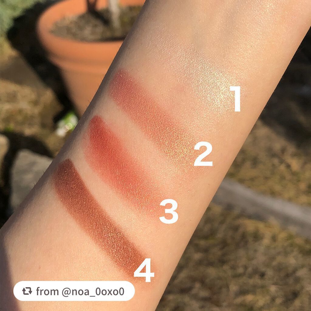 グロッシーリッチ アイズ N/Visée/アイシャドウパレットを使ったクチコミ(3枚目)