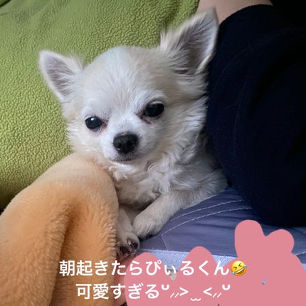 フェイスグロウカラー/CEZANNE/クリームハイライトを使ったクチコミ(10枚目)