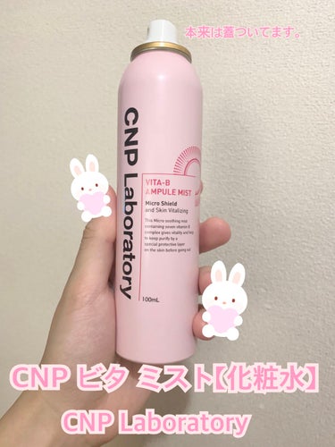 CNP ビタ ミスト【化粧水】

〈説明〉
・ミスト、化粧水
・100ml

〈感想〉
・仕事で疲れて帰ってきてスキンケアする余裕がないのでミスト状は楽でオススメです。

〈オススメ〉
・ミスト状なので