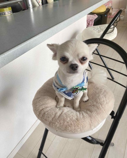 リファイニング ソリューションズ コレクティング セラム/CLINIQUE/美容液を使ったクチコミ(4枚目)