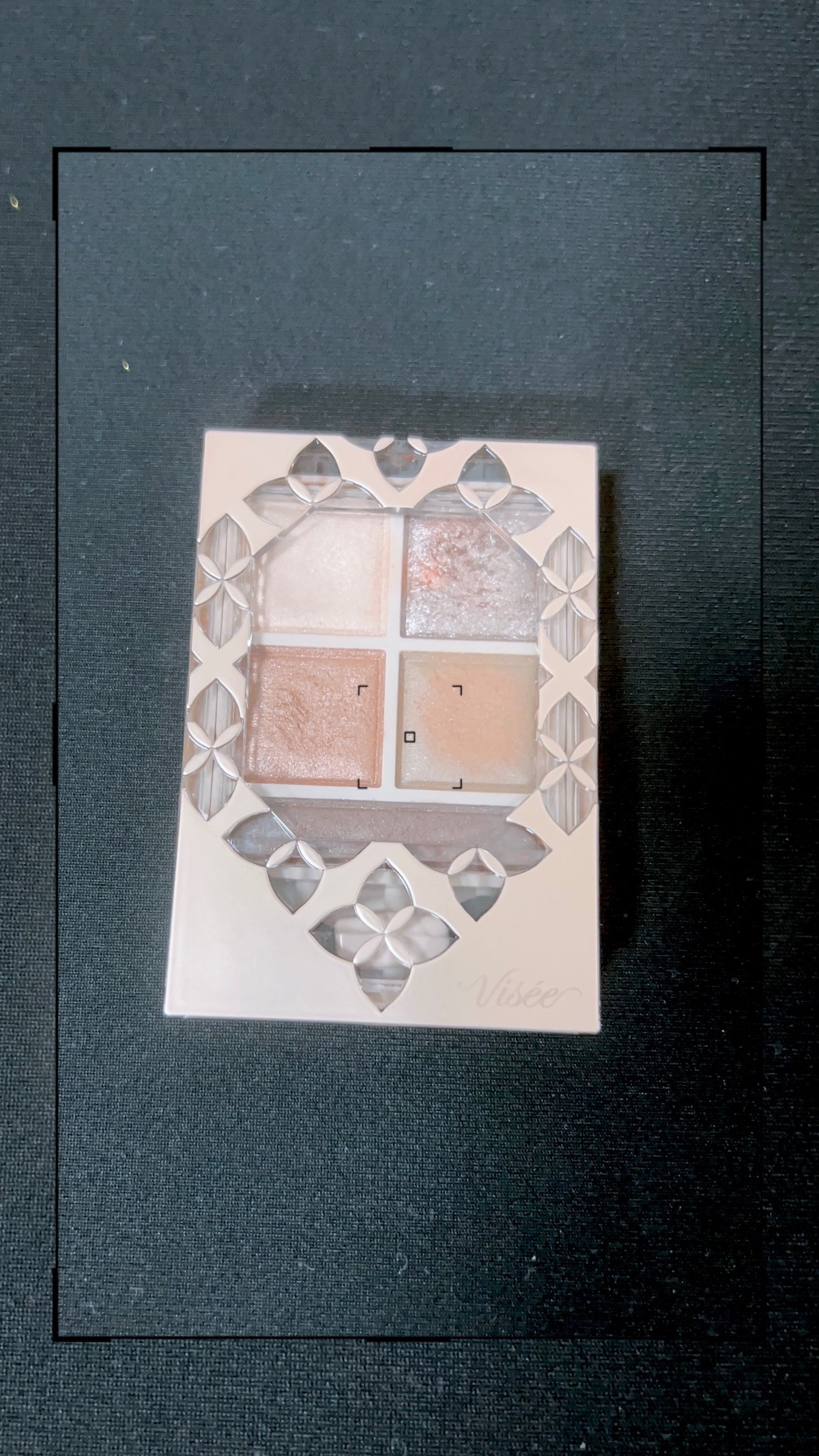 パノラマデザイン アイパレット/Visée/アイシャドウパレットを使ったクチコミ(1枚目)