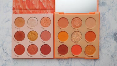 ORANGE YOU GLAD/ColourPop/アイシャドウパレットを使ったクチコミ（2枚目）