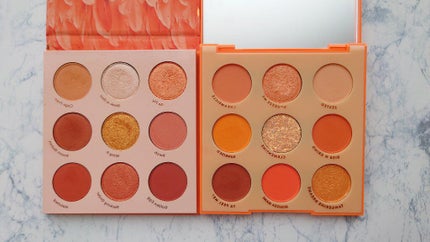 ORANGE YOU GLAD/ColourPop/アイシャドウパレットを使ったクチコミ(2枚目)