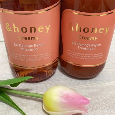 &honey Creamy EXダメージリペアシャンプー1.0/ヘアトリートメント2.0のクチコミ「カラー後のパサつきにオススメ✨
＆honeyのシャンプー/リンス🍯🧴🫧


✼••┈┈••✼•.....」（1枚目）