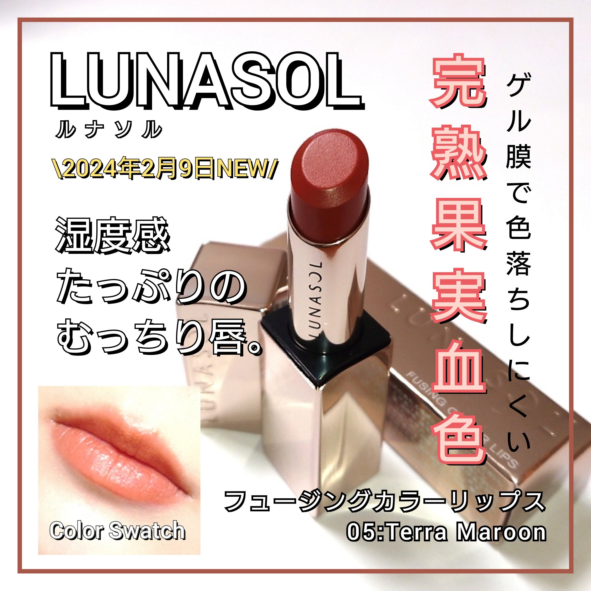 ルナソル フュージングカラーリップス 05 Terra Maroon/LUNASOL/口紅を使ったクチコミ（1枚目）