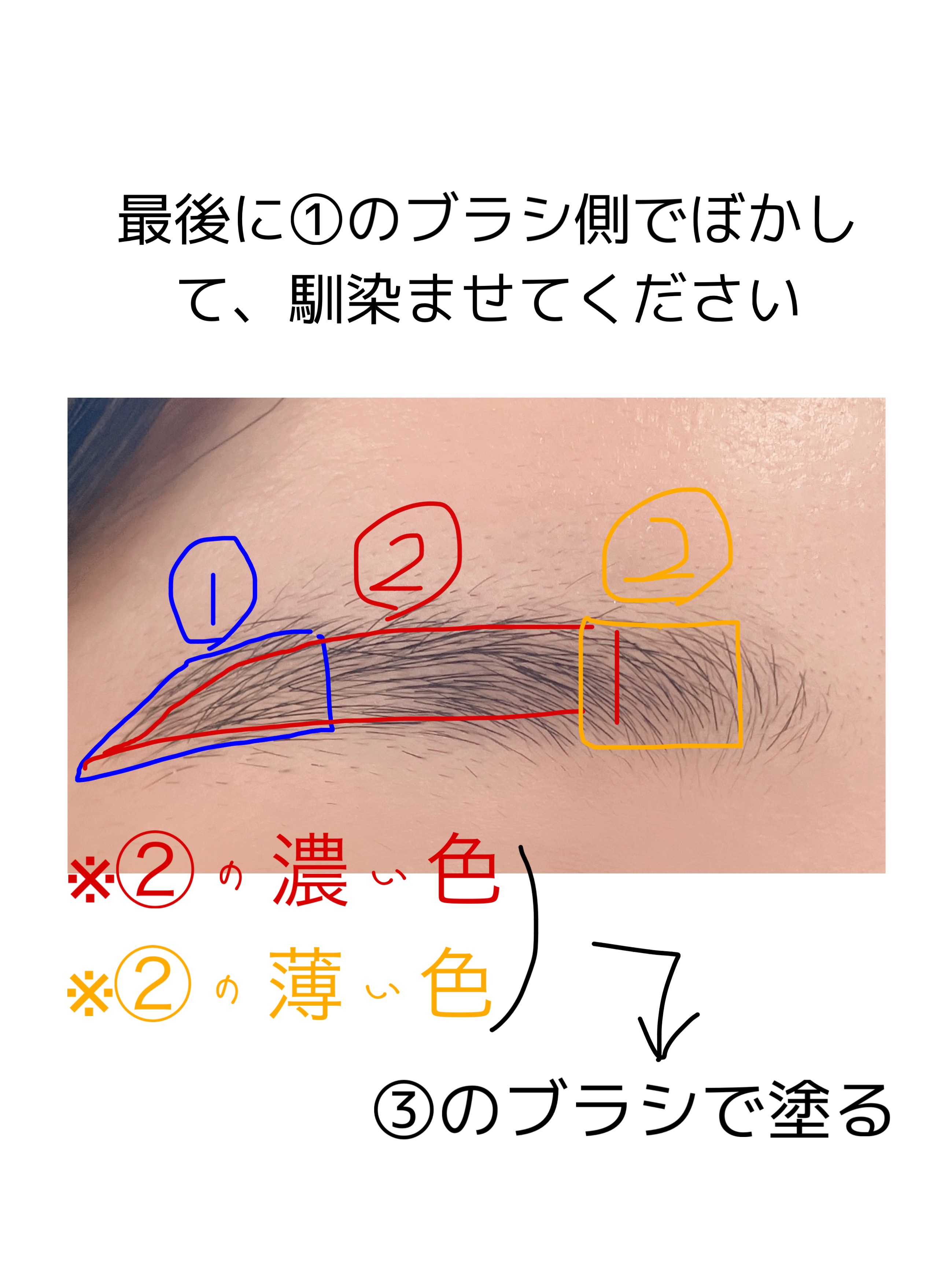 パウダリーアイブロウ/CEZANNE/パウダーアイブロウを使ったクチコミ（3枚目）