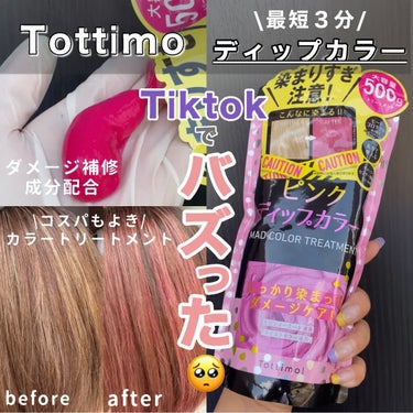 tottimo！ディップカラー/アイケイ/ヘアカラーを使ったクチコミ（1枚目）