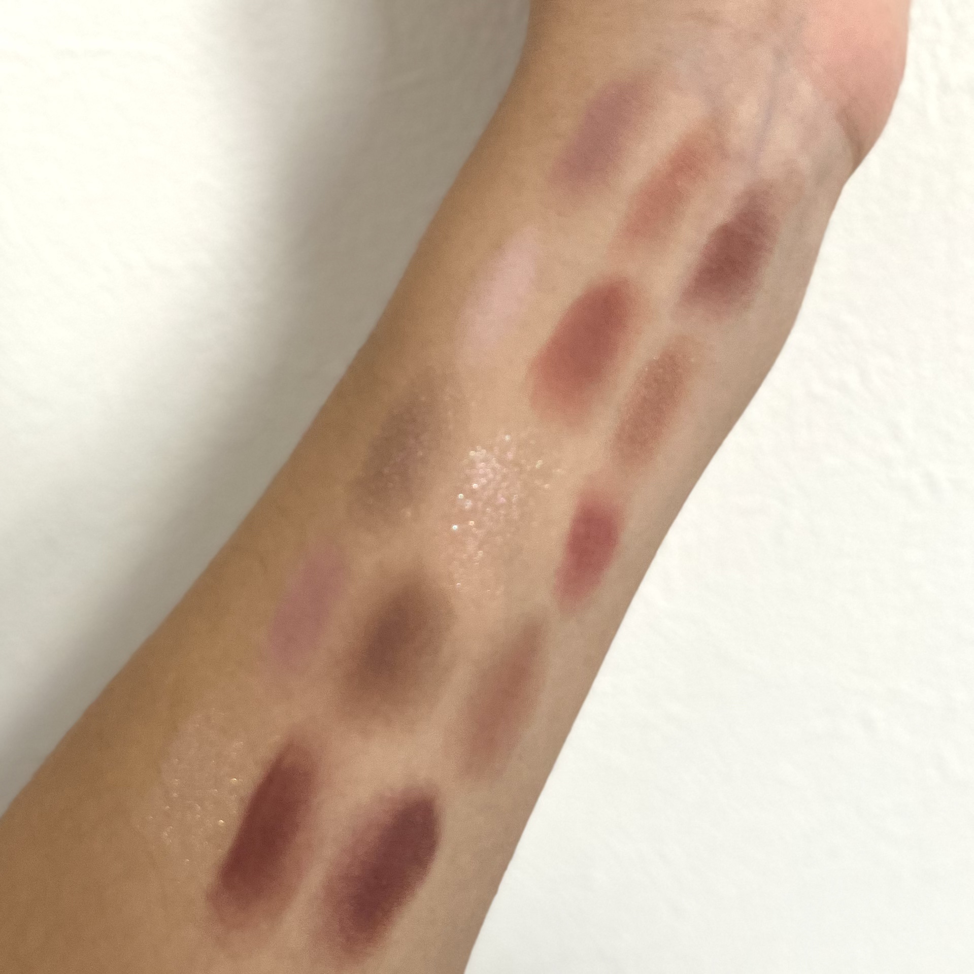 Natasha Denona  レトロパレットのクチコミ「Natasha Denona
レトロパレット

ずっと寝かせておいて、やっと開封✨
大好きなナ.....」（2枚目）