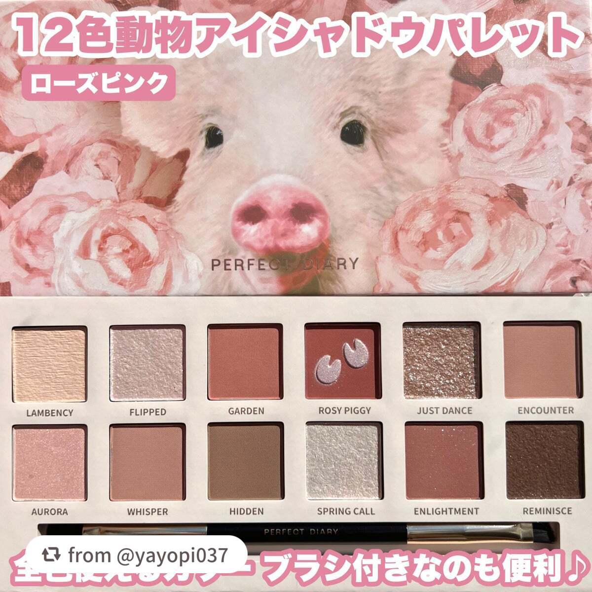 エクスプローラ12色 動物アイシャドウパレット/PERFECT DIARY/アイシャドウパレットを使ったクチコミ(3枚目)