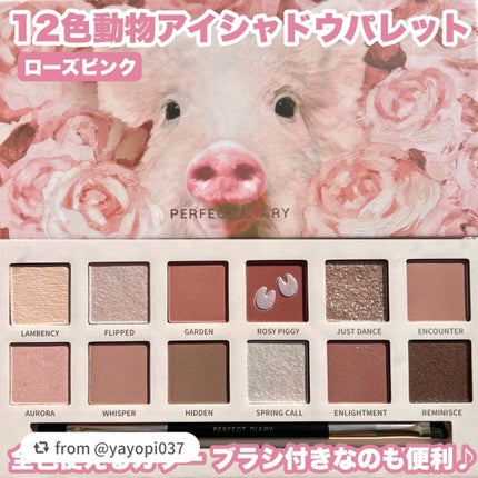 エクスプローラ12色 動物アイシャドウパレット/PERFECT DIARY/アイシャドウパレットを使ったクチコミ(3枚目)
