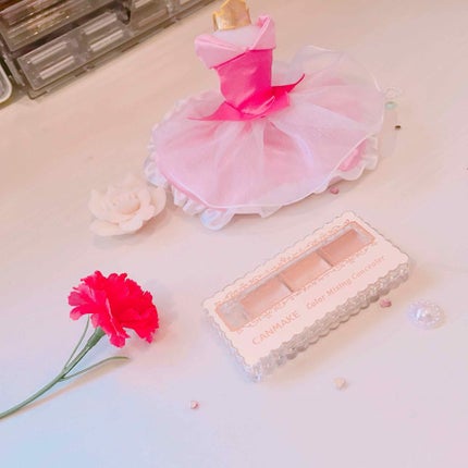 カラーミキシングコンシーラー/キャンメイク/パレットコンシーラーを使ったクチコミ(1枚目)