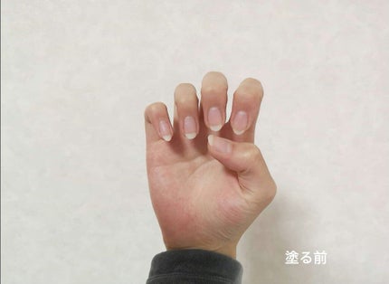 を使ったクチコミ(2枚目)