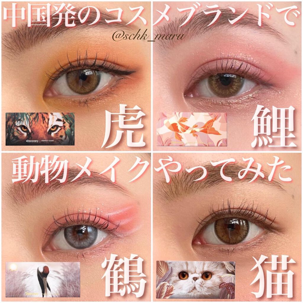 エクスプローラ12色 動物アイシャドウパレット/PERFECT DIARY/アイシャドウパレットを使ったクチコミ(1枚目)