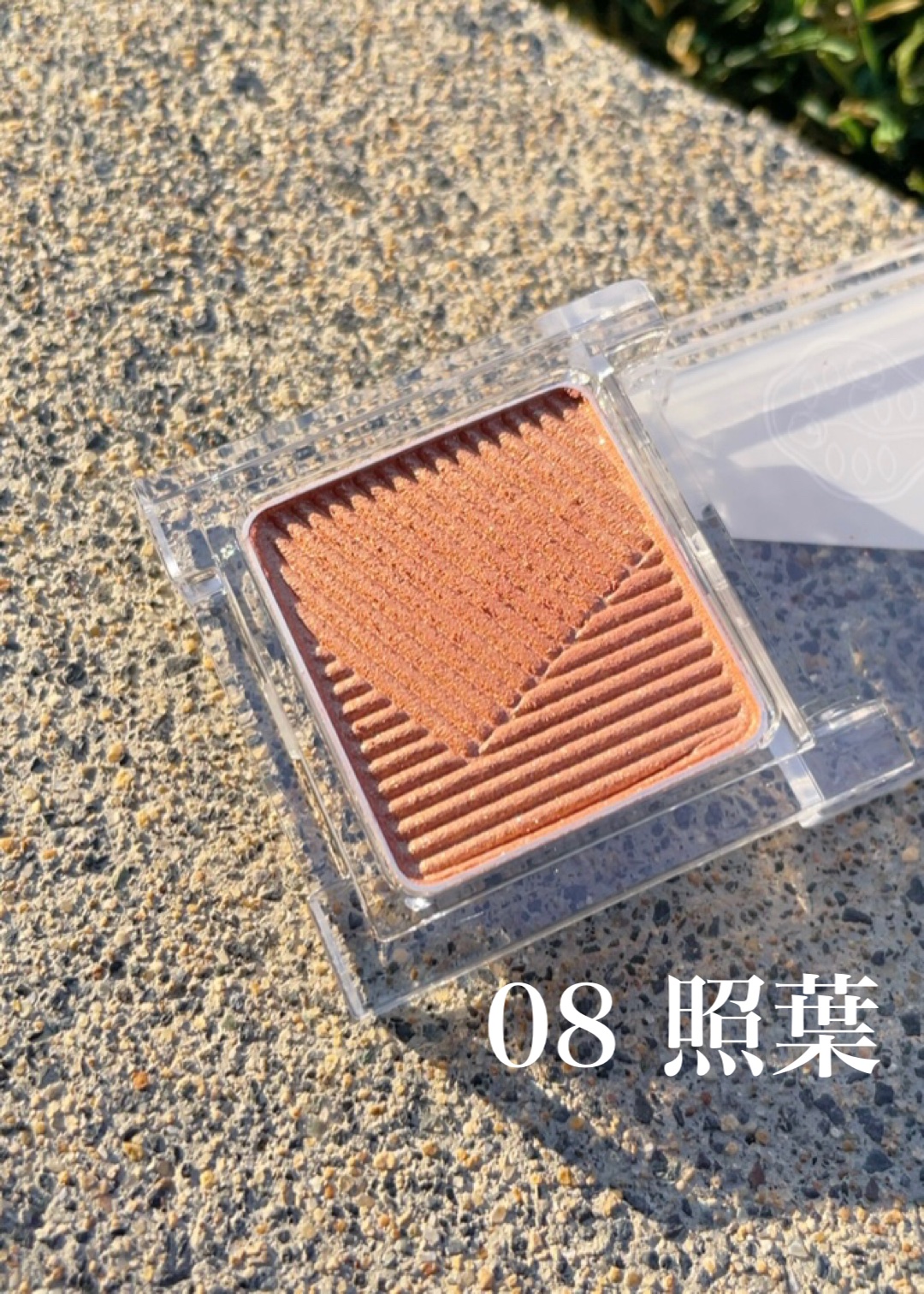 オーラデュウ プリズム イルミネーター ピコ 10 稲穂波/SHISEIDO/単色アイシャドウを使ったクチコミ（3枚目）