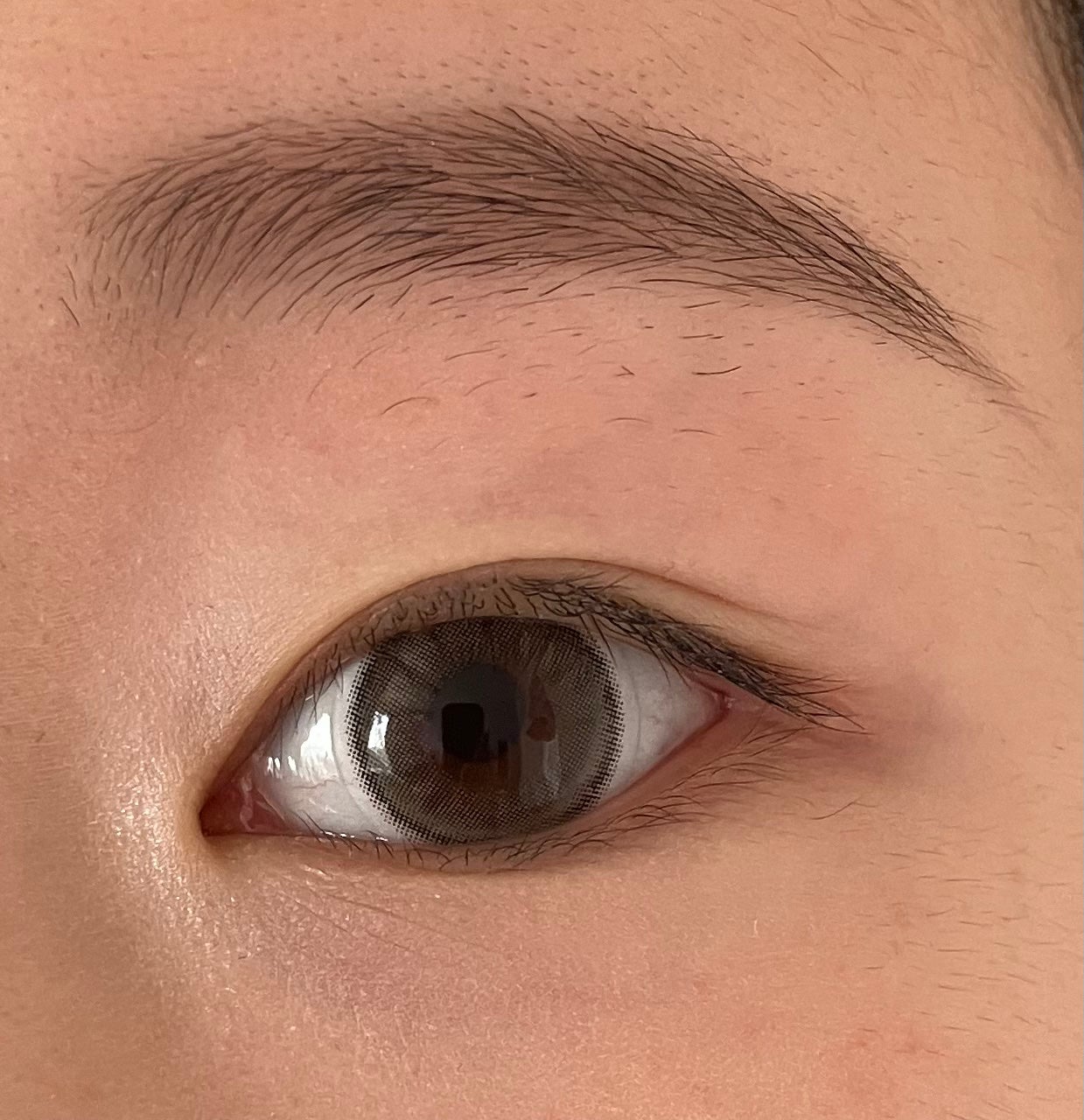 TOPARDS 1day/TOPARDS/ワンデー(1DAY)カラコンを使ったクチコミ(3枚目)