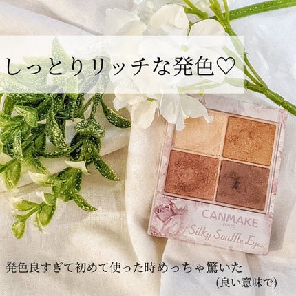 シルキースフレアイズ/キャンメイク/アイシャドウパレットを使ったクチコミ(2枚目)