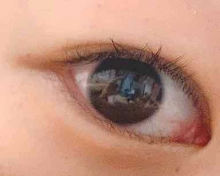 ラッシュジェリードロップ EX/MAJOLICA MAJORCA/まつげ美容液を使ったクチコミ(1枚目)