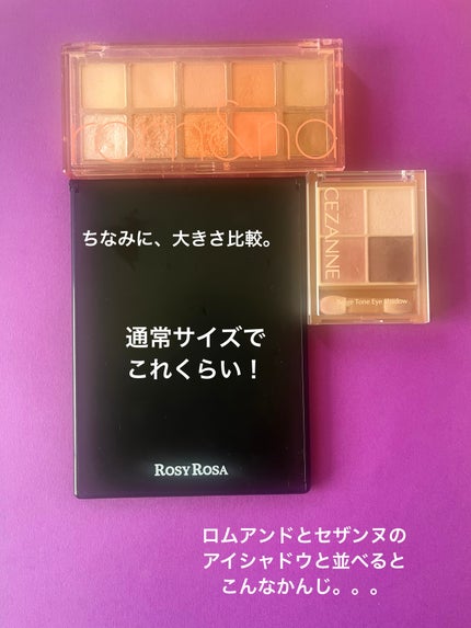 リアルックミラー/ロージーローザ/その他化粧小物を使ったクチコミ(3枚目)
