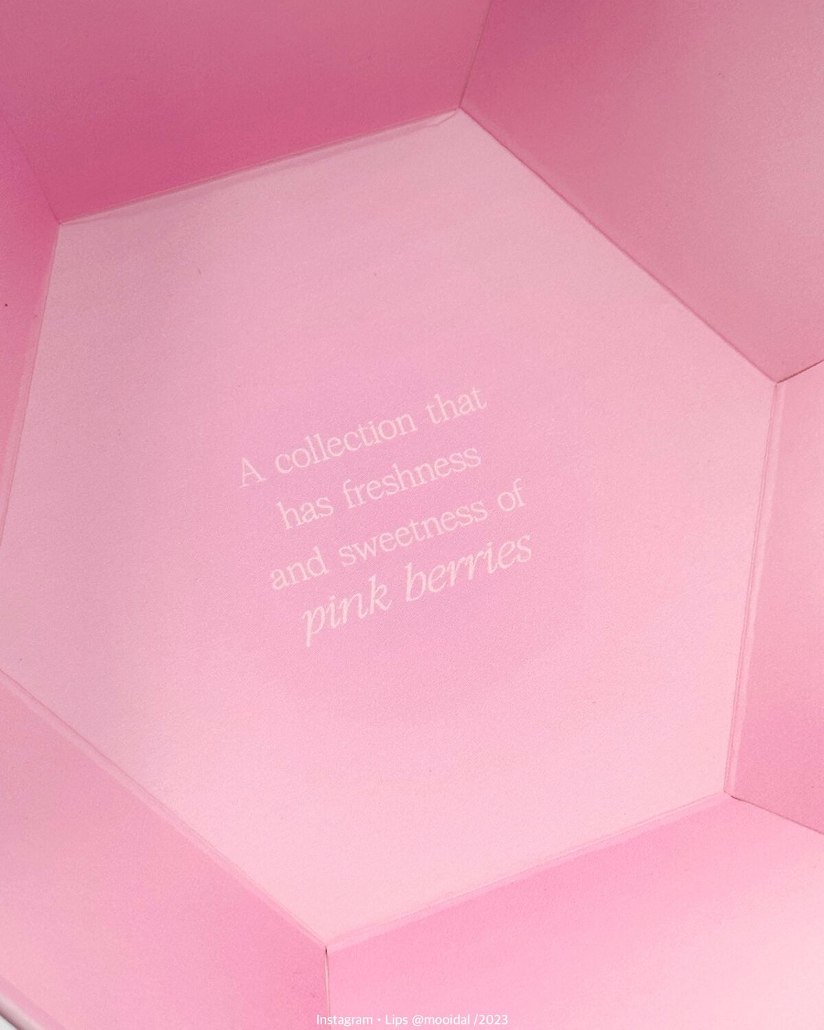 ウォーターブラーティント/dasique/リップティントを使ったクチコミ(5枚目)