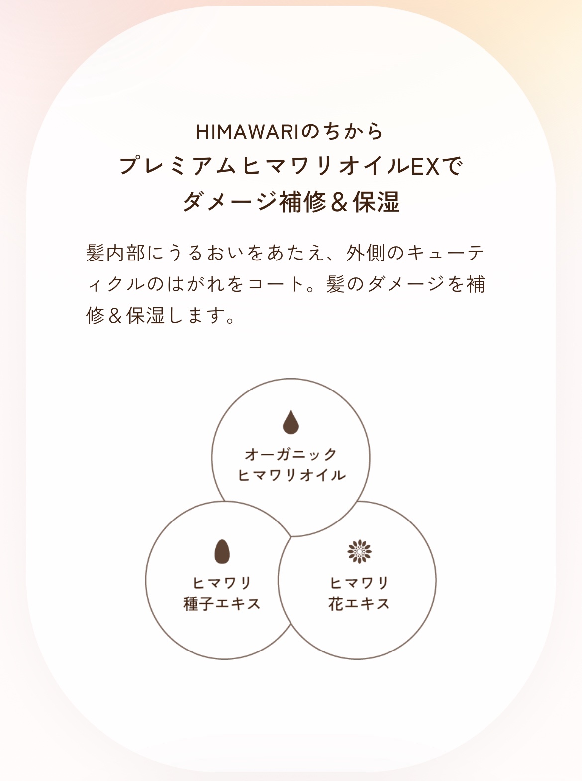 オイルインシャンプー／オイルインコンディショナー (グロス＆リペア)/ディアボーテ/市販シャンプーを使ったクチコミ（2枚目）