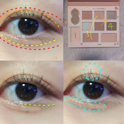 ディズニー10色パレット/JUDYDOLL/アイシャドウパレットを使ったクチコミ(5枚目)