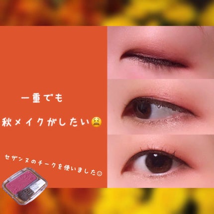 ナチュラル チークN/CEZANNE/パウダーチークを使ったクチコミ(1枚目)