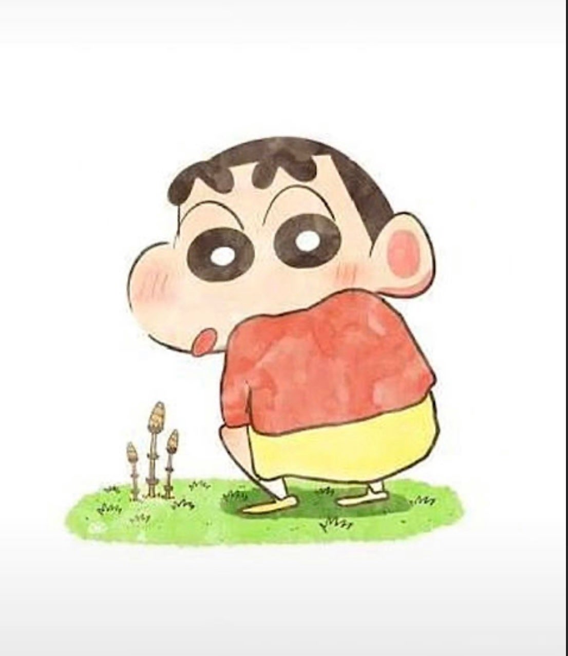 るか on LIPS 「LIPSはイエベブルベ診断ができるとの事でしたので、たったさっ..」(1枚目)