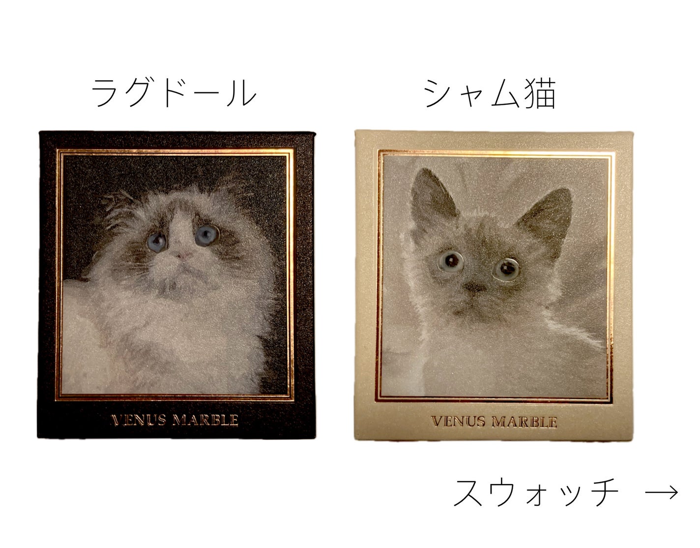 Venus Marble アイシャドウキャットシリーズ/Venus Marble/アイシャドウパレットを使ったクチコミ(1枚目)