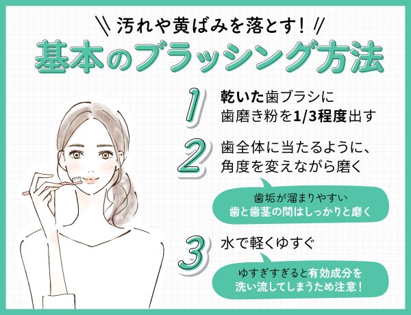 汚れや黄ばみを落とす!基本のブラッシング方法。乾いた歯ブラシに歯磨き粉を1/3程度出す。歯全体に当たるように角度を変えながら磨く。歯垢が溜まりやすい歯と歯茎の間はしっかりと磨く。水で軽くゆすぐ。ゆすぎすぎると有効成分を洗い流してしまうため注意!