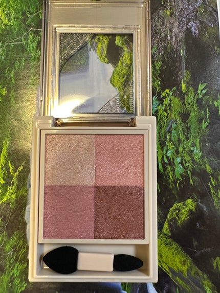 ニュアンス デューイ クリエイター/Visée/アイシャドウパレットを使ったクチコミ(2枚目)