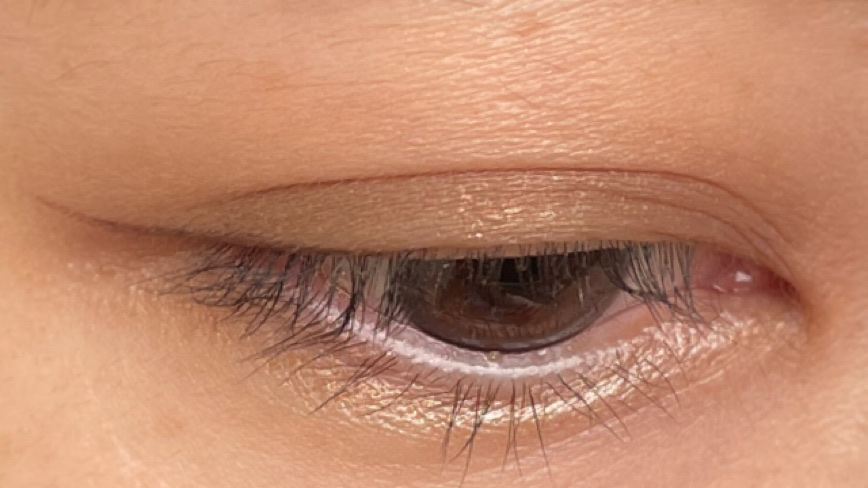 シャドーカスタマイズ BR665 ジンジャー/MAJOLICA MAJORCA/単色アイシャドウを使ったクチコミ（2枚目）