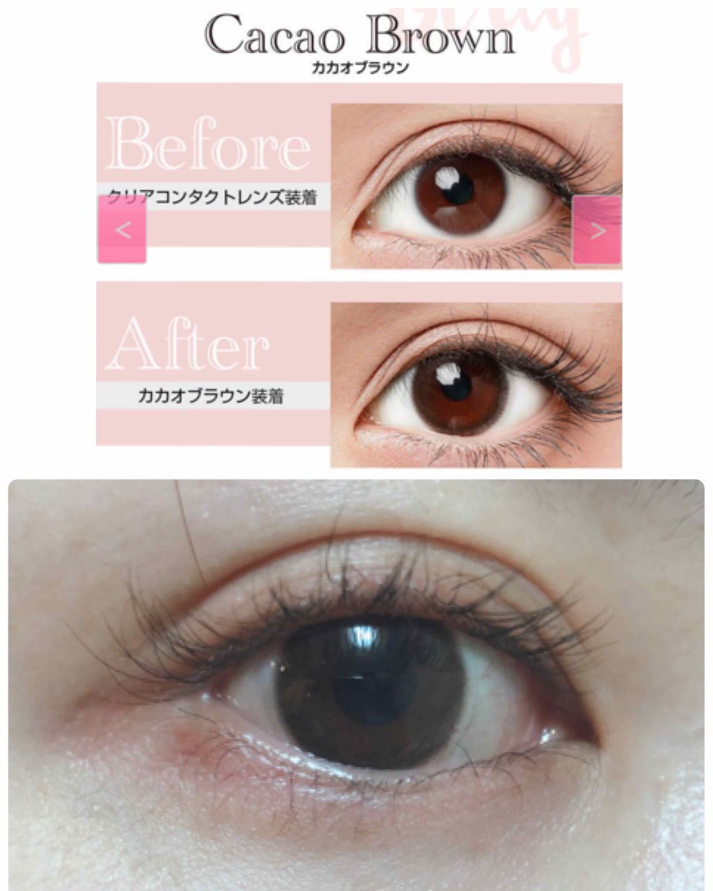 eye closet １day SweetSeries "Girly"（アイクローゼットワンデースウィートシリーズ ガーリー） Cacao Brown/EYE CLOSET/ワンデー（１DAY）カラコンを使ったクチコミ（2枚目）