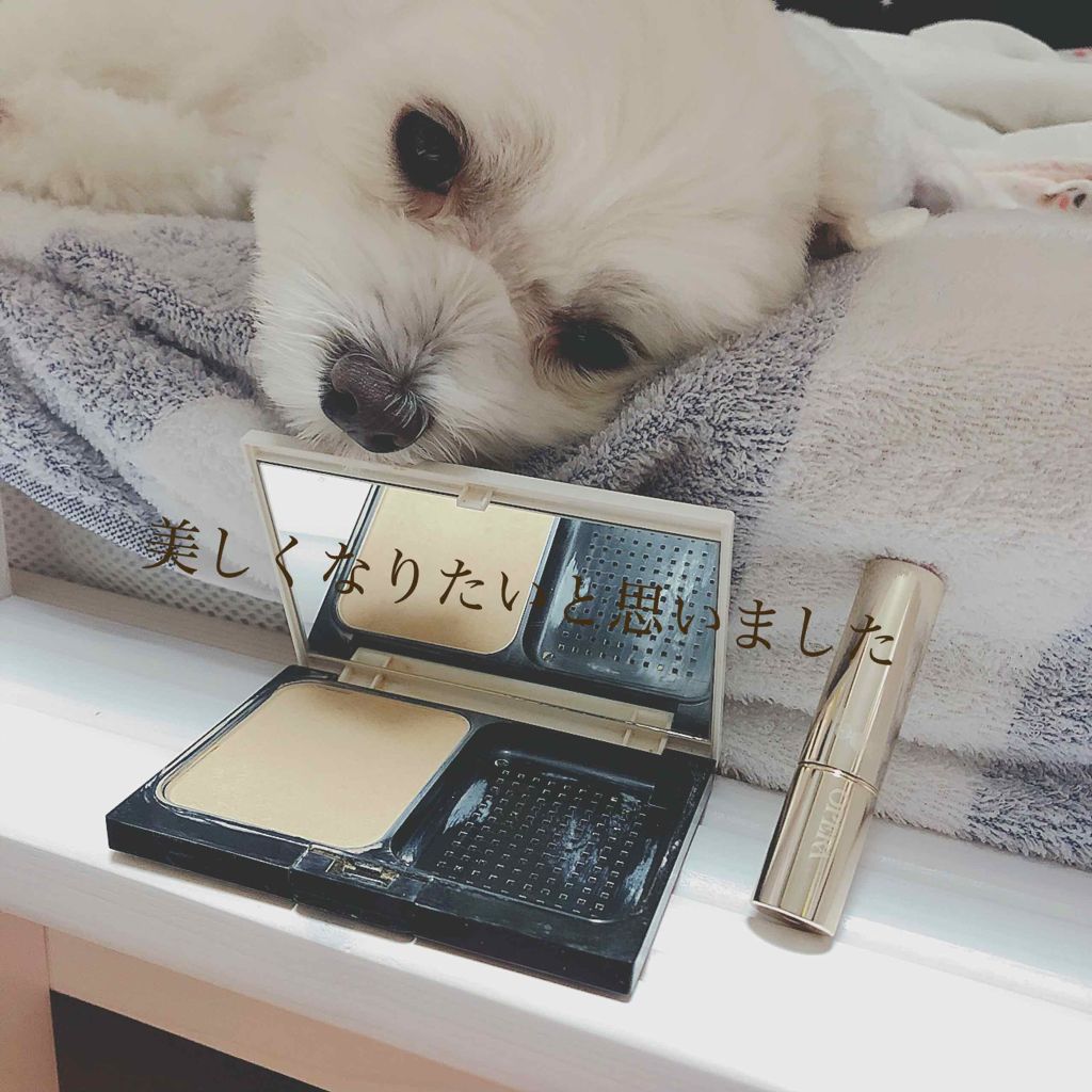 オペラ リップティント N/OPERA/リップティントを使ったクチコミ（2枚目）