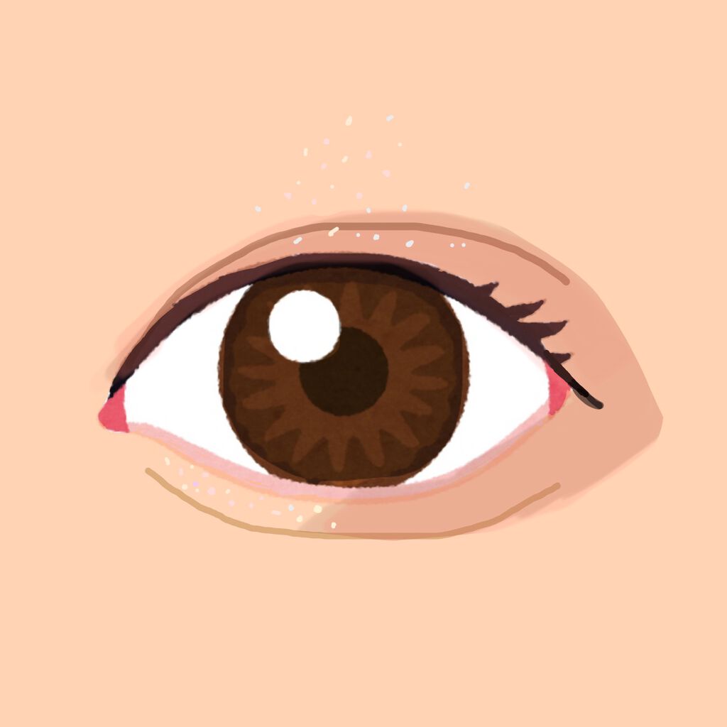 エテュセ アイエディション (マスカラベース)/ettusais/マスカラ下地を使ったクチコミ（2枚目）