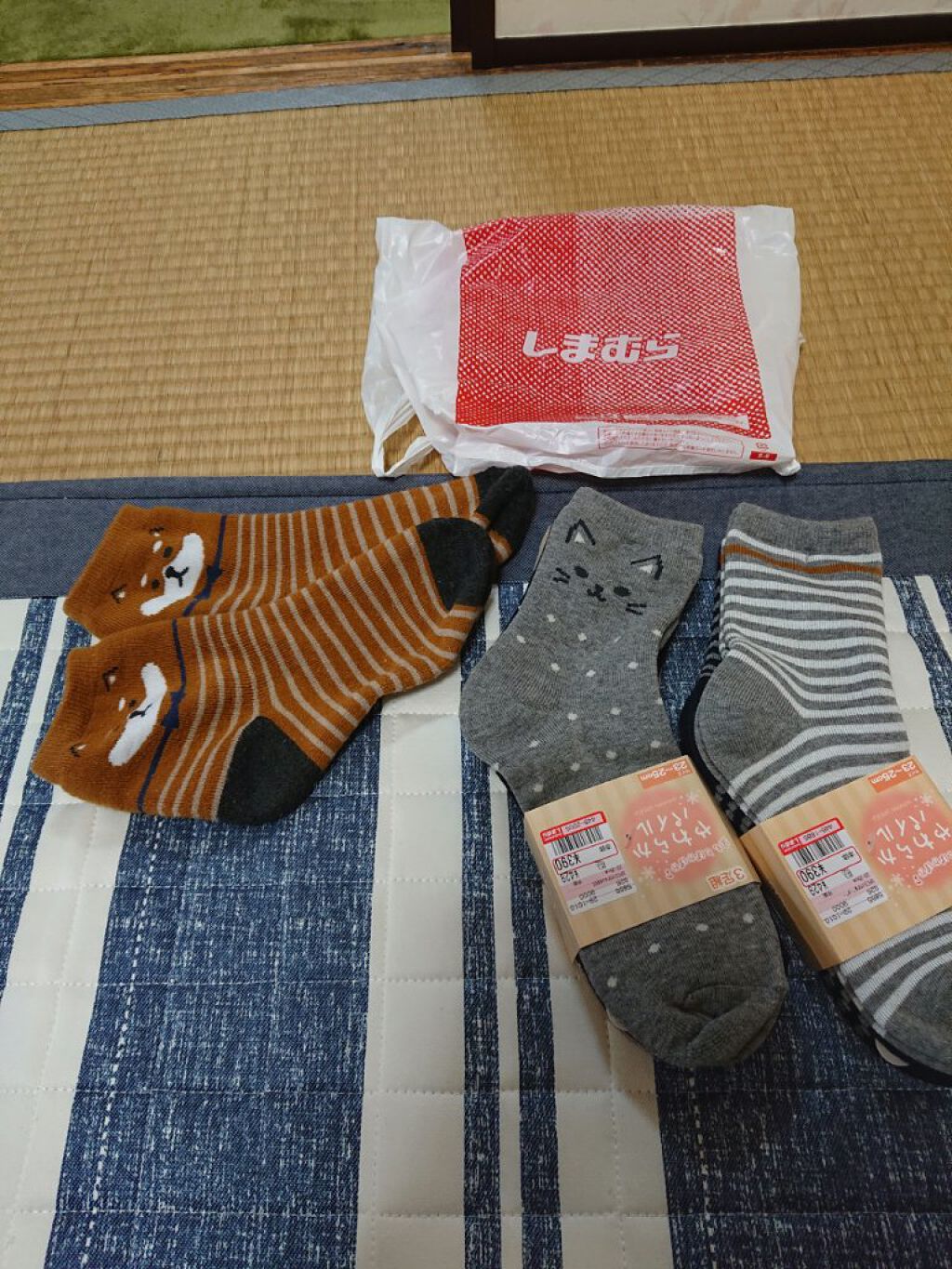 にゃーにゃ一団 on LIPS 「こんにちは✨😃❗今日は体調が良かったので😲みんなで散歩しつつポ..」(6枚目)