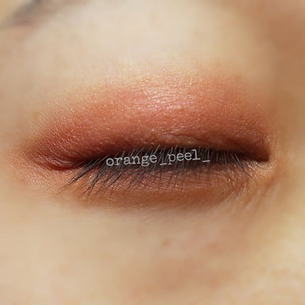 アイプランナー/excel/単色アイシャドウを使ったクチコミ(6枚目)