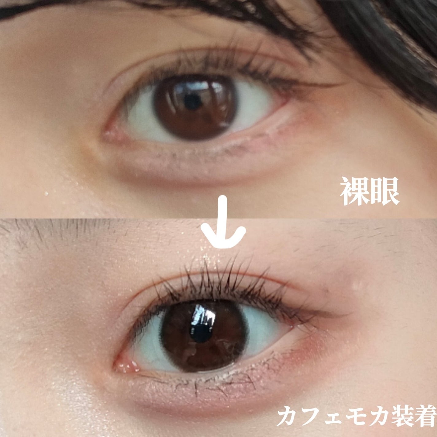 feliamo 1day/feliamo/ワンデー(1DAY)カラコンを使ったクチコミ(2枚目)