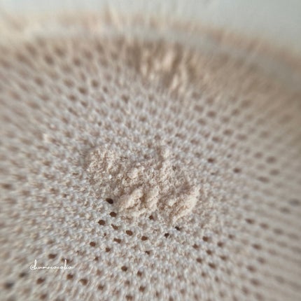 ウォンジョンヨ フィクシングブラーパウダー N/Wonjungyo/ルースパウダーを使ったクチコミ(7枚目)