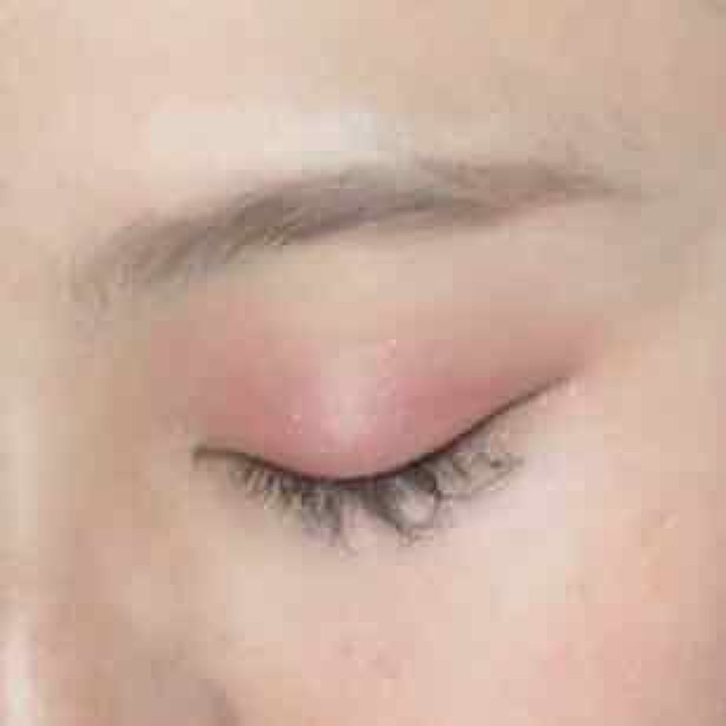 シングルカラー アイシャドウ/DHC/アイシャドウパレットを使ったクチコミ（1枚目）