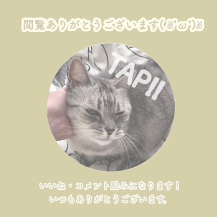 ポアーテンクリーム/DEWYCEL/化粧下地を使ったクチコミ(7枚目)