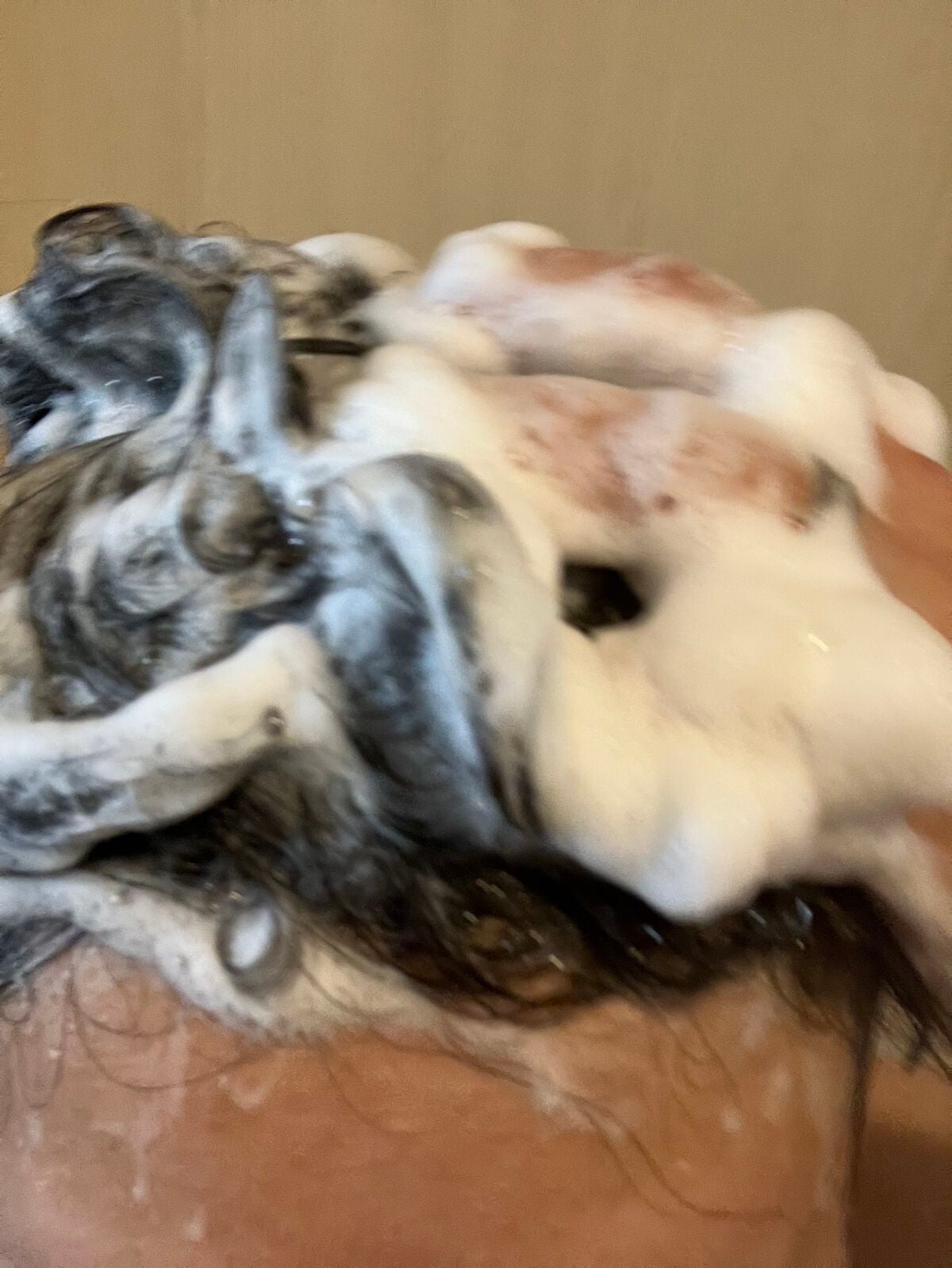 プレミアムEX インテンシブリペア <シャンプー>/コンディショナー<ヘアトリートメント> /TSUBAKI/市販シャンプーを使ったクチコミ(5枚目)