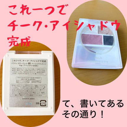 カラーパレット/パラドゥ/マルチパレットを使ったクチコミ(2枚目)